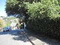 SanFrancisco100313-6268