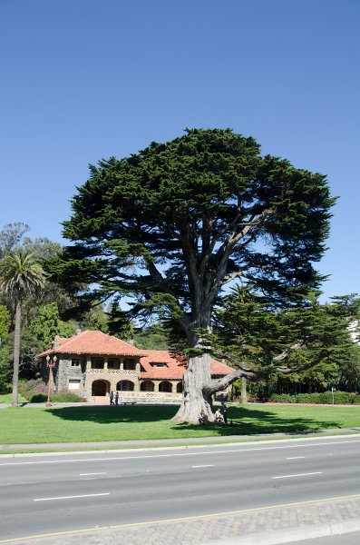 SanFrancisco100313-8840.jpg - McLaren Lodge built 1896. Driving through Golden Gate Park. Hop-on Hop-off bus tour of San Francisco