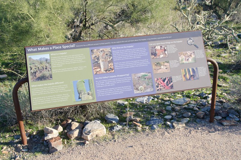 Scottsdale120513-9536.jpg - Bajada Nature Trail