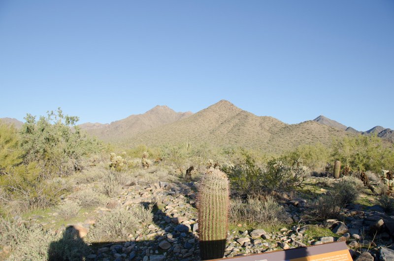 Scottsdale120513-9541.jpg - Bajada Nature Trail, Barrel Cactus, foreground