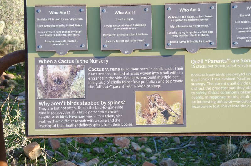 Scottsdale120513-9546.jpg - Bajada Nature Trail