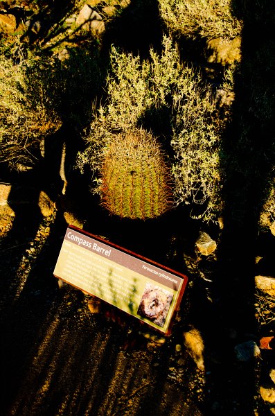 Scottsdale120513-9562.jpg - Compass Barrel. Bajada Nature Trail