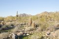 Scottsdale120513-9540