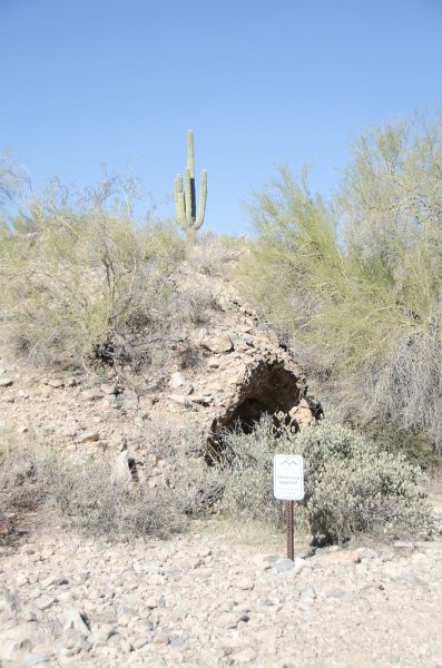 Scottsdale120513-9392.jpg - Saguaro Cactus atop the hill. Lost Dog Wash Trail, sign says "Sensitive Habitat"