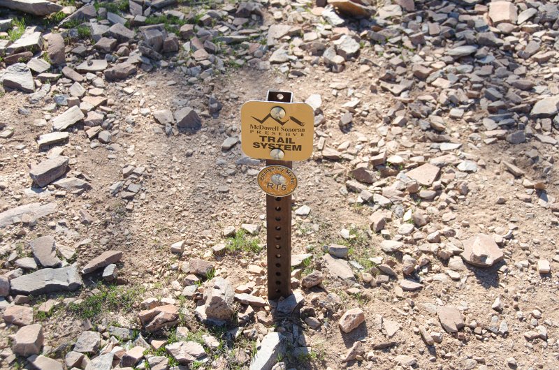 Scottsdale120513-9437.jpg - RT5. Ringtail Trail