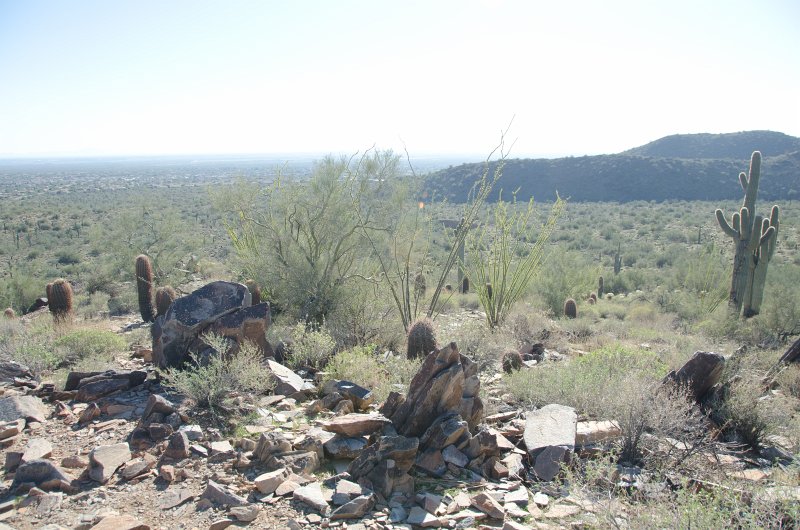 Scottsdale120513-9442.jpg - Lost Dog Overlook, Saguaro Cactus, right edge