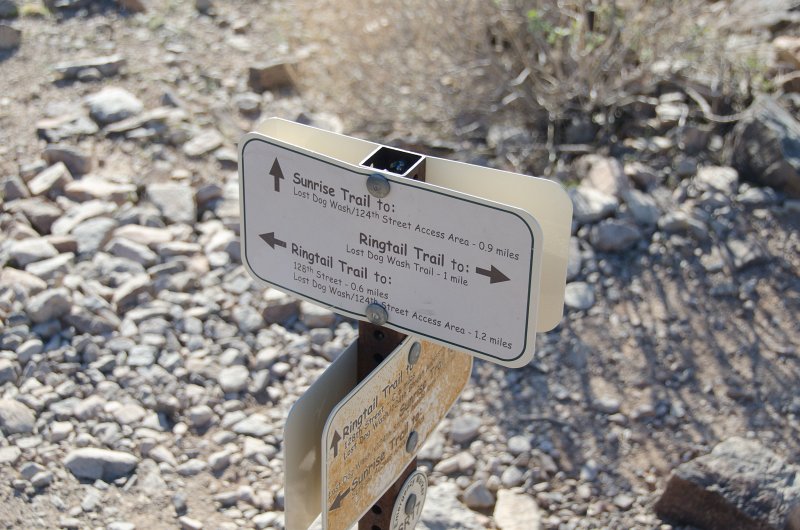 Scottsdale120513-9471.jpg - SR17. Ringtail Trail switching over to Sunrise Trail