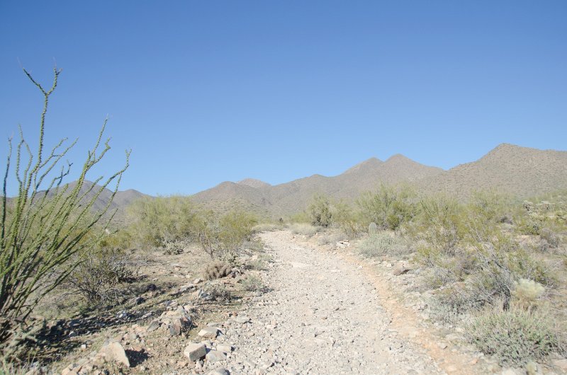 Scottsdale120513-9478.jpg - Sunrise Trail