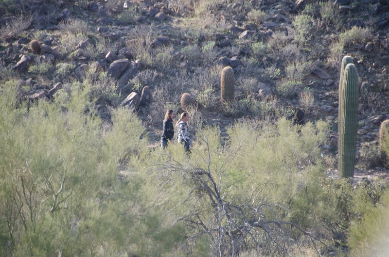 Scottsdale120513-9493.jpg - Anasazi Spur, Saguaro Cactus, foreground and right, Barrel Cactus, center