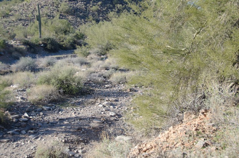Scottsdale120513-9495.jpg - Anasazi Spur