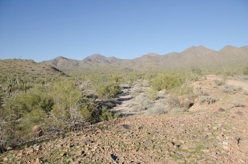Scottsdale120513-9506.jpg - Anasazi Spur