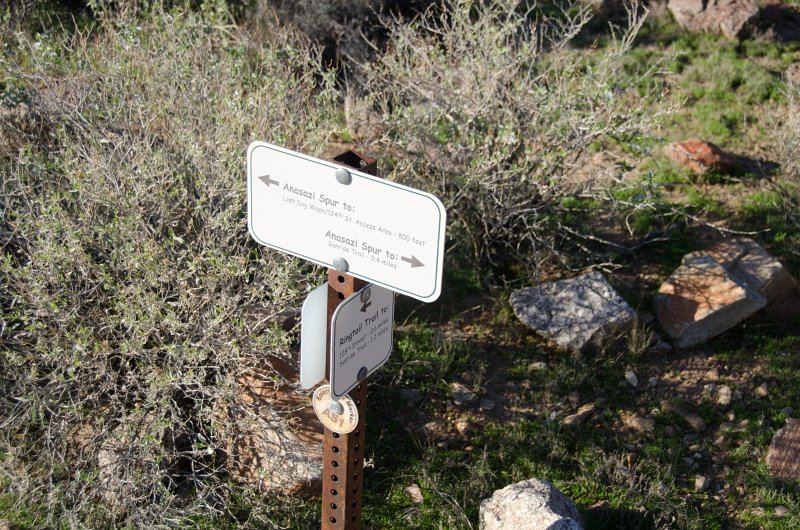 Scottsdale120513-9508.jpg - AS1. Anasazi Spur
