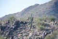 Scottsdale120513-9467