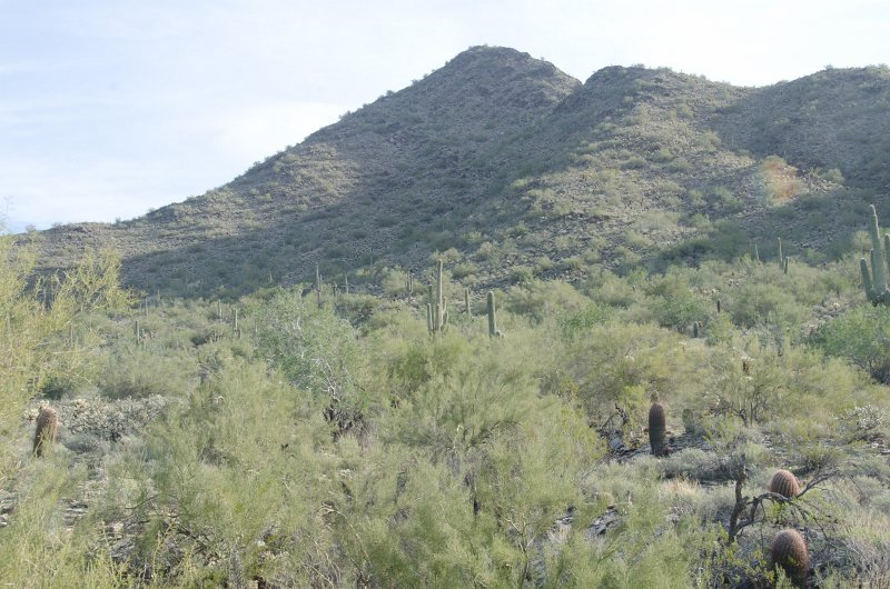 Scottsdale120513-9675.jpg - Desert landscape seen while hiking  the Saguaro Loop Trail. Barrel Cactus, foreground