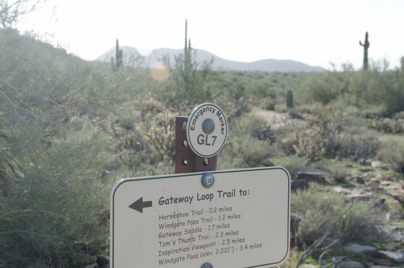 Scottsdale120513-9684.jpg - GL7. Saguaro Loop Trail