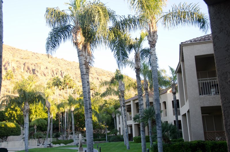 Scottsdale120513-9374.jpg - View of Camelback Mountain and area viewed from room 7157, The Phoenician Resort, Scottsdale