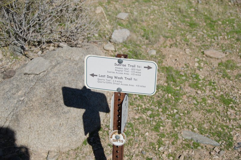 Scottsdale120513-9387.jpg - SR19 Lost Dog Wash Trail