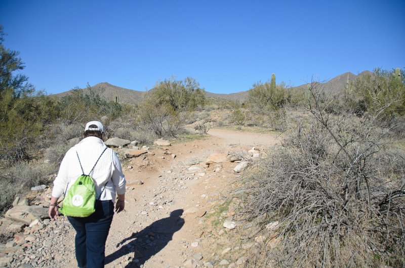 Scottsdale120513-9391.jpg - Lost Dog Wash Trail