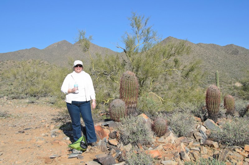 Scottsdale120513-9438.jpg - Barrel Cactus. Lost Dog Overlook