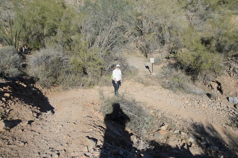 Scottsdale120513-9454.jpg - Ringtail Trail