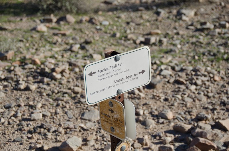 Scottsdale120513-9490.jpg - AS3. Sunrise Trail switching to Anasazi Spur