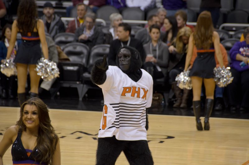 Scottsdale120513-9572.jpg - Gorilla. Raptors vs Suns at US Airways Center