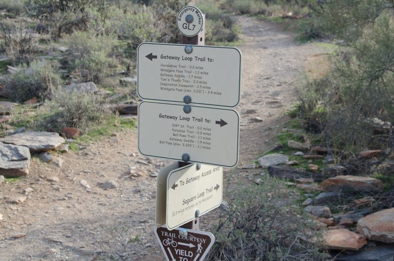 Scottsdale120513-9669.jpg - GL7. Gateway Loop Trail. Hike from Gateway Trailhead to the Saguaro Loop
