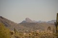 Scottsdale120513-9492