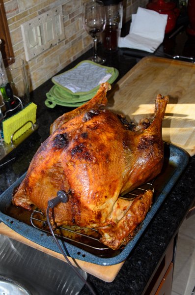 ThanksgivingNov2013-9173.jpg - Thanksgiving 2013