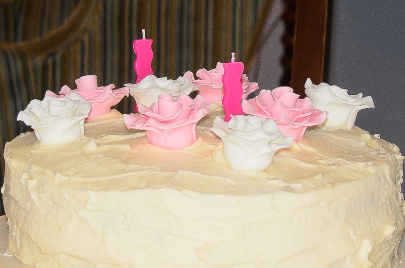 VickiLizBirthdayFeb13-5371.jpg - Vcki/Liz Birthday Cake