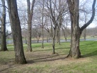 Herrick Lake  Bike Danada Forest Preserve and Herrick Lake : 2014, Biking, Danada, Danada Forest Preserve