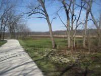 Praire, freshly burned  Bike Danada Forest Preserve and Herrick Lake : 2014, Biking, Danada Forest Preserve, DuPage Forest Preserve, Herrick Lake, Wheaton