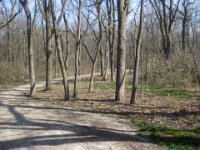 Danada Bike Trail  Bike Danada Forest Preserve and Herrick Lake : 2014, Biking, Danada Forest Preserve, DuPage Forest Preserve, Herrick Lake, Wheaton