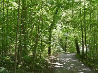 Heading South  Fox River Bike Trail, Batavia to North Aurora : 2014, Batavia, Biking, Fox River, Fox River Bike Trail, North Aurora