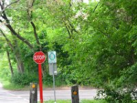 PrairiePath052614-0491  Bike Prairie Path (Aurora Branch) from Winfield, through Wheaton to the Lincoln Marsh (on the Elgin Branch) : 2014, Aurora Branch, Biking, Illinois Prairie Path, Prairie Path, Wheaton
