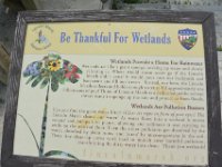 PrairiePath052614-0505  Bike Prairie Path (Aurora Branch) from Winfield, through Wheaton to the Lincoln Marsh (on the Elgin Branch) : 2014, Biking, Elgin Branch, Illinois Prairie Path, Prairie Path, Wheaton