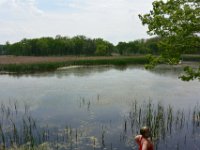Lincoln Marsh  Liz at the viewing area of the Lincoln Marsh. Bike Prairie Path (Aurora Branch) from Winfield, through Wheaton to the Lincoln Marsh (on the Elgin Branch) : 2014, Biking, Elgin Branch, Illinois Prairie Path, Prairie Path, Wheaton
