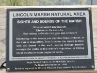 PrairiePath052614-0515  Bike Prairie Path (Aurora Branch) from Winfield, through Wheaton to the Lincoln Marsh (on the Elgin Branch) : 2014, Biking, Elgin Branch, Illinois Prairie Path, Prairie Path, Wheaton