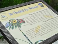 PrairiePath052614-0517  Bike Prairie Path (Aurora Branch) from Winfield, through Wheaton to the Lincoln Marsh (on the Elgin Branch) : 2014, Biking, Elgin Branch, Illinois Prairie Path, Prairie Path, Wheaton