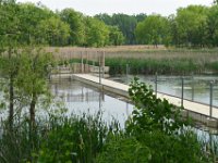 Lincoln Marsh  New viewing area at Lincoln Marsh. Bike Prairie Path (Aurora Branch) from Winfield, through Wheaton to the Lincoln Marsh (on the Elgin Branch) : 2014, Biking, Elgin Branch, Illinois Prairie Path, Prairie Path, Wheaton