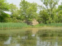 PrairiePath052614-0521  Bike Prairie Path (Aurora Branch) from Winfield, through Wheaton to the Lincoln Marsh (on the Elgin Branch) : 2014, Biking, Elgin Branch, Illinois Prairie Path, Prairie Path, Wheaton