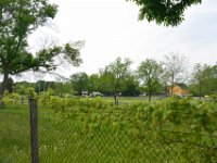 PrairiePath052614-0541  Bike Prairie Path (Aurora Branch) from Winfield, through Wheaton to the Lincoln Marsh (on the Elgin Branch) : 2014, Aurora Branch, Biking, Illinois Prairie Path, Prairie Path, Wheaton
