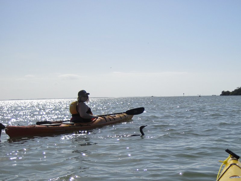 Captiva041214-0078.jpg - Liz and Cormorant. Kayak Pine Island Sound, Buck Key Loop with Liz and Mike
