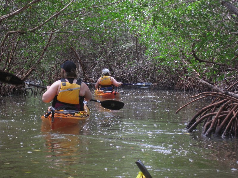 Captiva041214-0158.jpg - Liz and Cathie, Mangrove trails. Kayak Pine Island Sound, Buck Key Loop with Liz