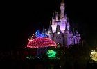Electrical Parade  Magic Kingdom Main Street Electrical Parade, Cinderella Castle in the background : 2014, Cinderella Castle, Disney, Florida, Magic Kingdom, Main Street Electrical Parade, Orlando