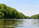 FoxRiverKayak052514-0425  Kayaking the Fox River from Yorkville to Millington : 2014, Fox River, Kayaking, Millington, Yorkville