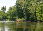 Lois Landing Takeout  Cathie paddling into the Lois Landing takeout point.  Hidden!! Kayaking the Fox River from Yorkville to Millington : 2014, Fox River, Kayaking, Millington, Yorkville