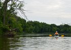 Cathie  Cathie approaching the power lines. Kayaking from Yorkville to Millington : 2014, Fox River, Kayaking, Yorkville to Millington
