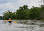 Cathie  Cathie and flying Great Egret. Kayaking from Yorkville to Millington : 2014, Fox River, Kayaking, Yorkville to Millington