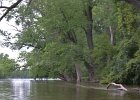 Lois Landing  Approaching Lois Landing.  Can you see it?  It is on the other side of that tree fall. Kayaking from Yorkville to Millington : 2014, Fox River, Kayaking, Yorkville to Millington